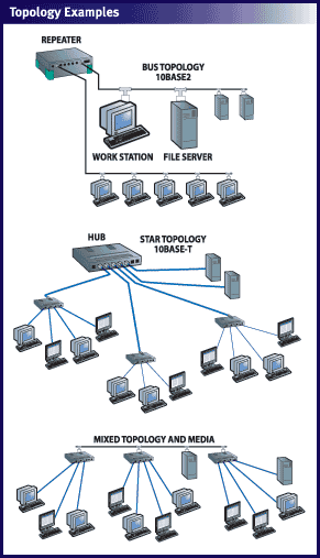 CIS 532 Week 4 Assignment 2 Network Topology Design (2 Papers)